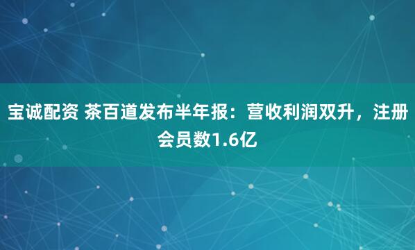 宝诚配资 茶百道发布半年报：营收利润双升，注册会员数1.6亿